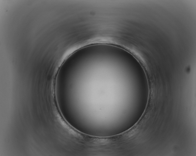 X0000089941382200707061051