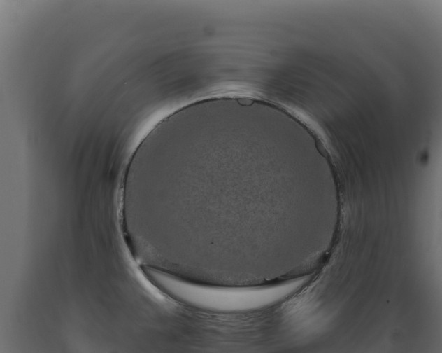 X0000089941383200707061051