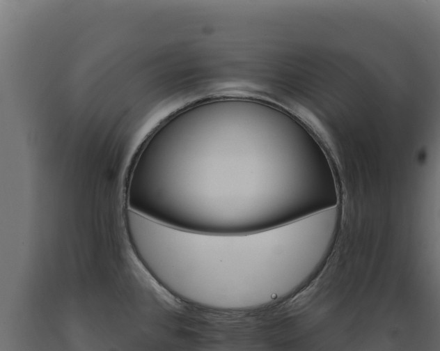 X0000089941384200707061051