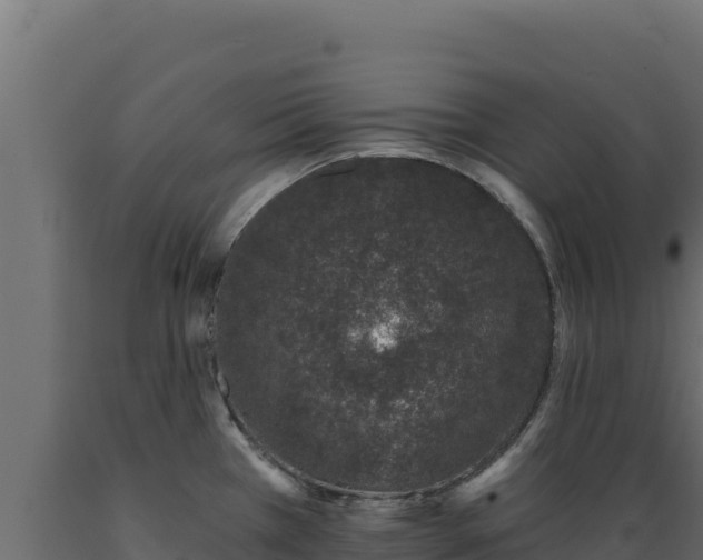 X0000089941385200707061051