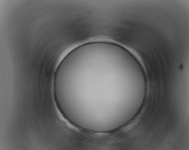 X0000089941390200707061051