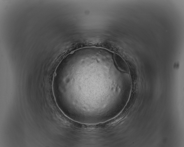 X0000089941393200707061050