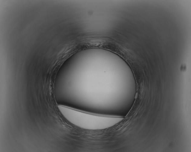 X0000089941394200707061050