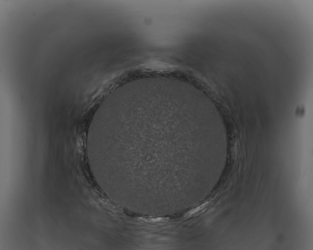 X0000089941397200707061050