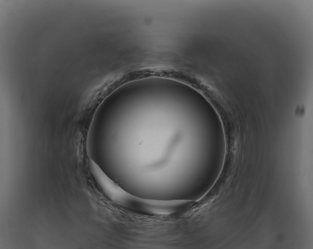 X0000089941398200707061050