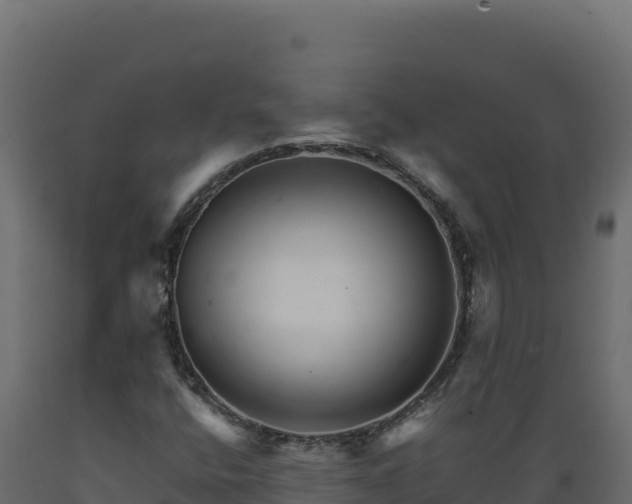 X0000089941400200707061050