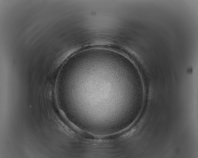 X0000089941401200707061050