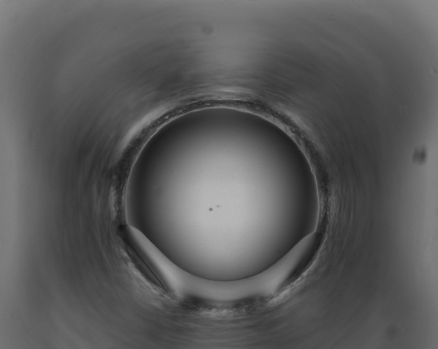 X0000089941402200707061050