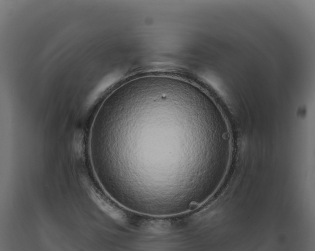 X0000089941403200707061050