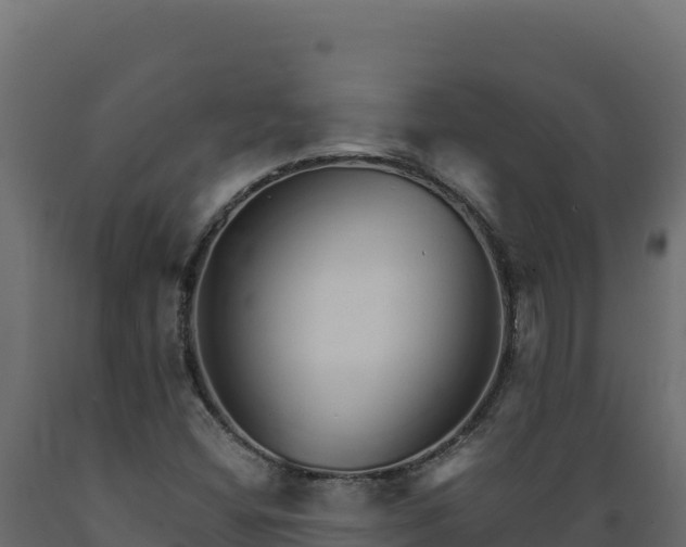 X0000089941404200707061050