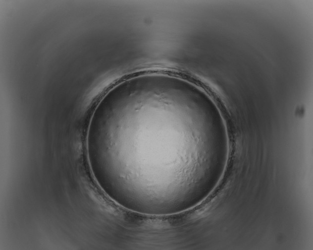 X0000089941407200707061050