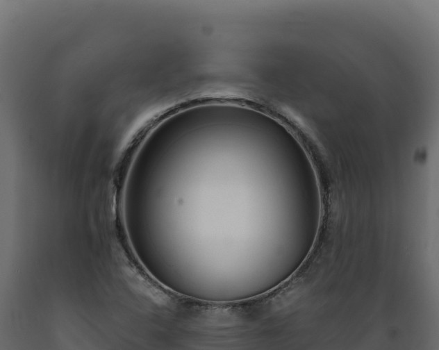 X0000089941408200707061050