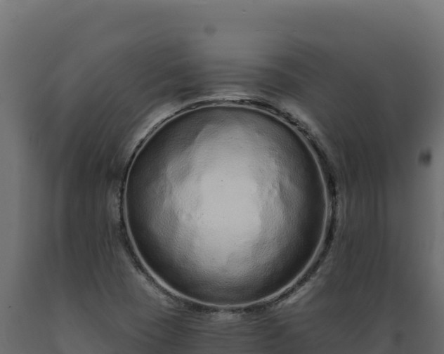 X0000089941409200707061050