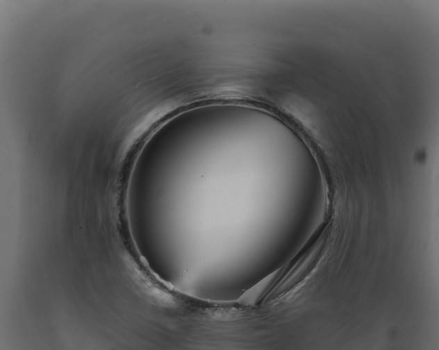 X0000089941410200707061050