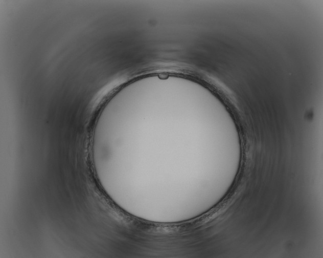 X0000089941411200707061050
