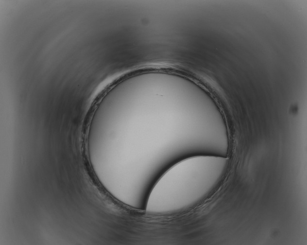 X0000089941412200707061050
