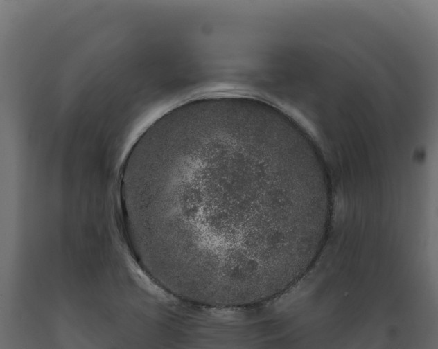 X0000089941413200707061050