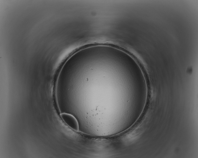 X0000089941416200707061051