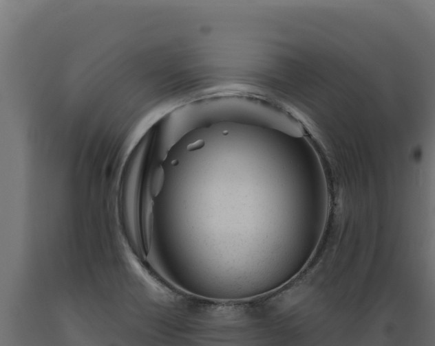 X0000089941418200707061051
