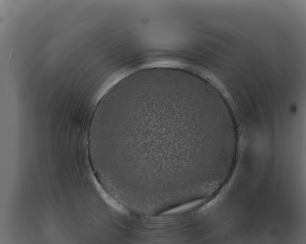 X0000089941425200707061051