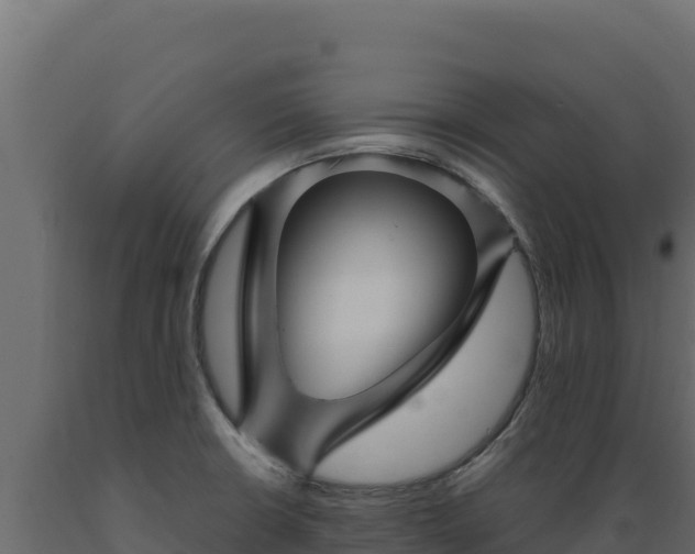 X0000089941426200707061051