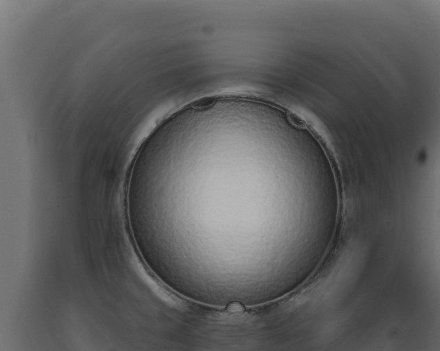 X0000089941429200707061051