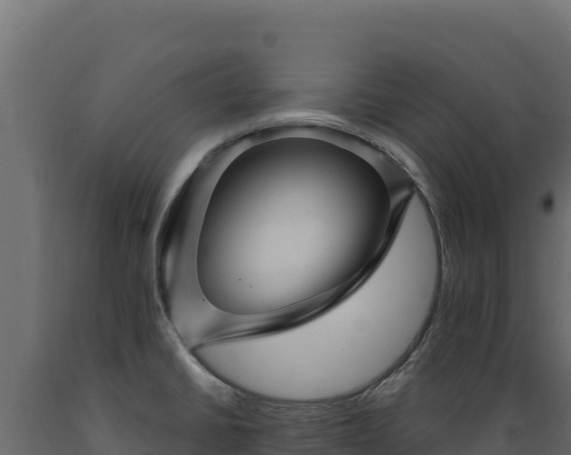 X0000089941430200707061051