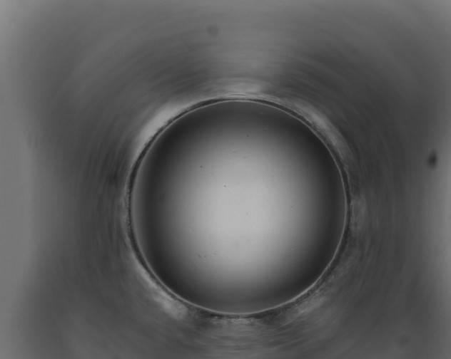 X0000089941432200707061051