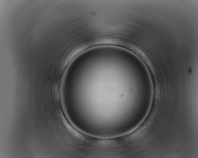 X0000089941433200707061051