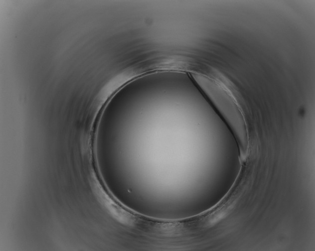 X0000089941434200707061051