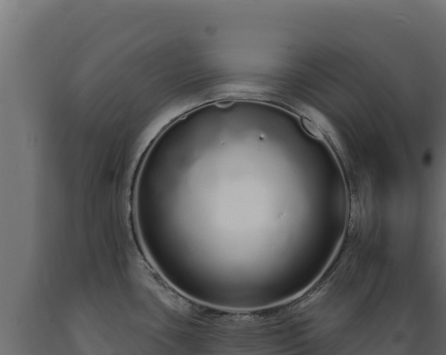 X0000089941435200707061051