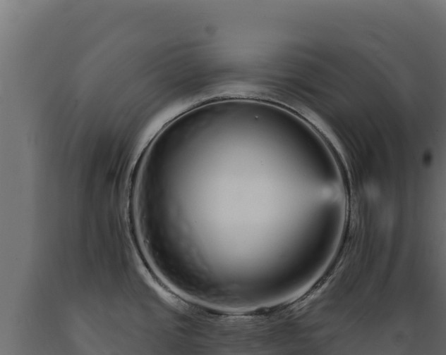 X0000089941437200707061051