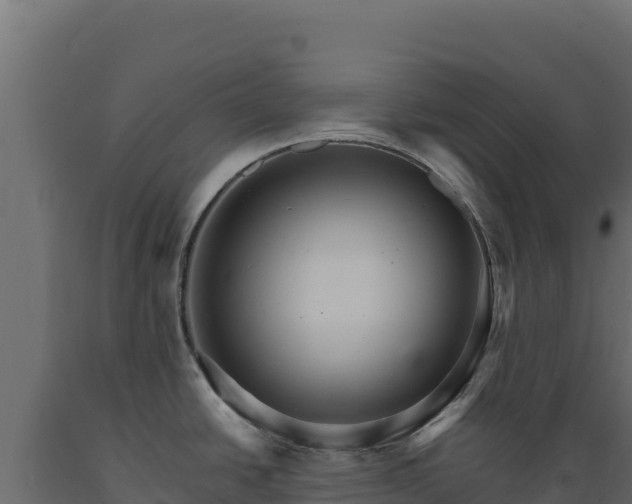 X0000089941438200707061051