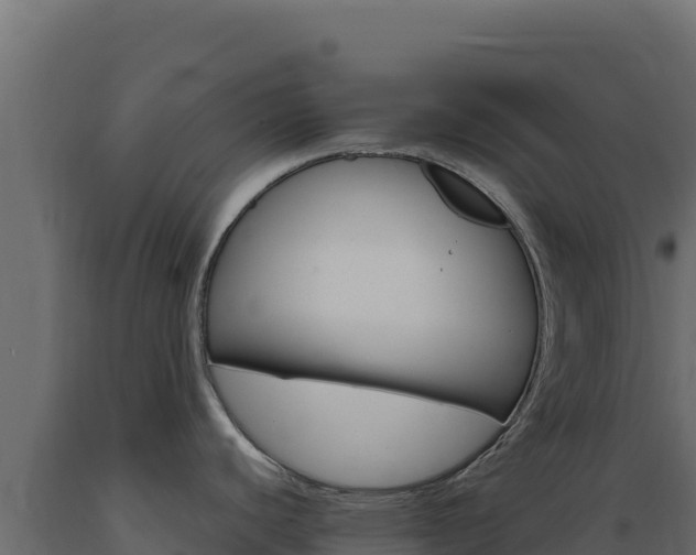 X0000089941440200707061051