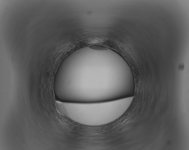 X0000089941441200707061050