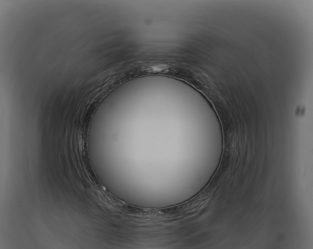 X0000089941442200707061050