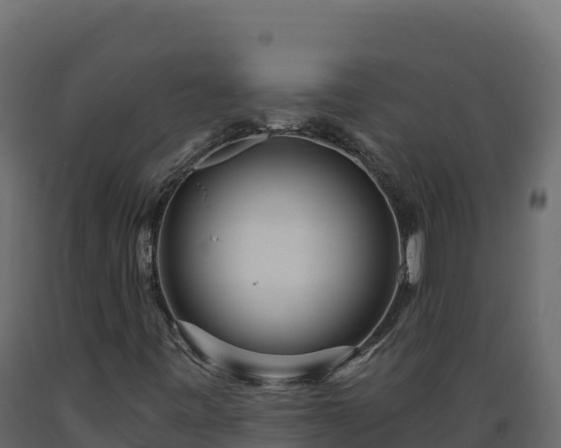 X0000089941443200707061050