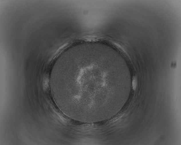 X0000089941444200707061050