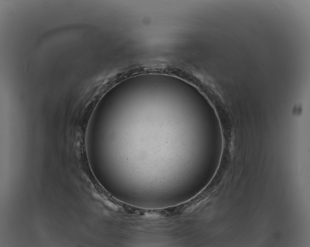 X0000089941445200707061050