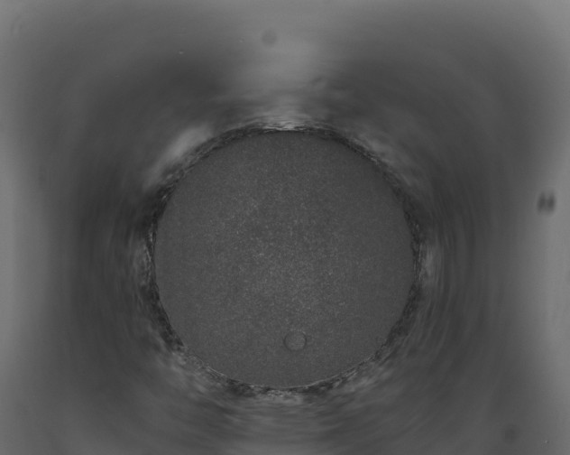X0000089941446200707061050