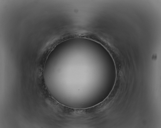 X0000089941447200707061050