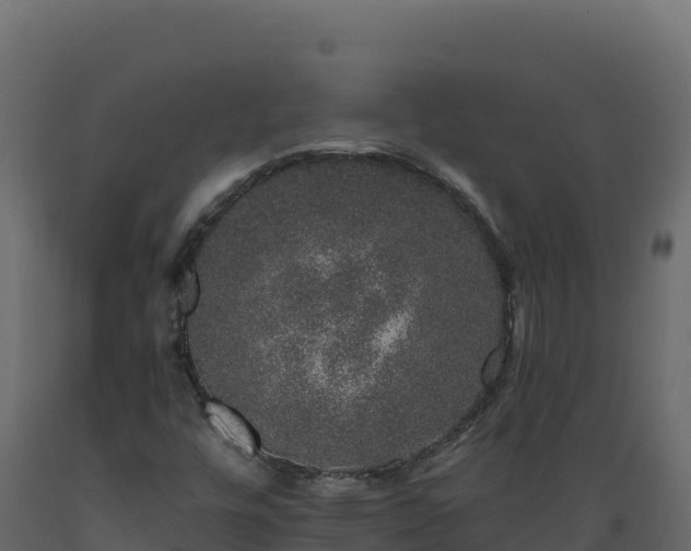 X0000089941448200707061050