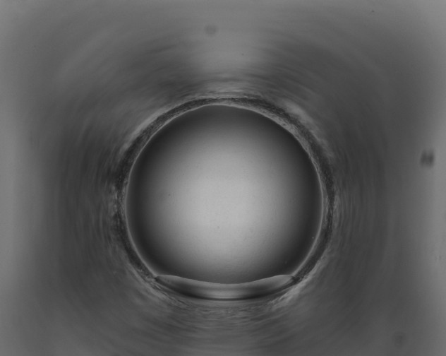 X0000089941449200707061050