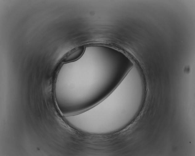 X0000089941450200707061050