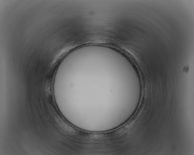 X0000089941451200707061050