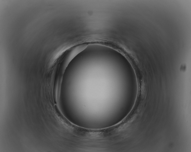 X0000089941453200707061050