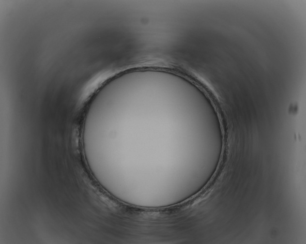 X0000089941455200707061050