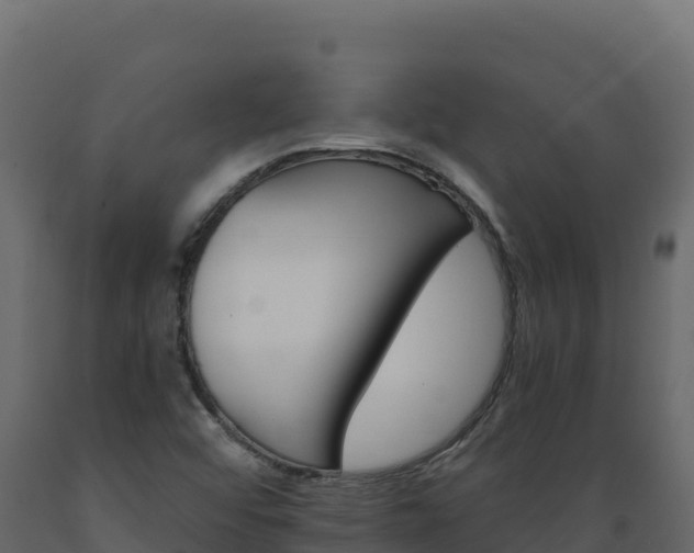X0000089941456200707061050