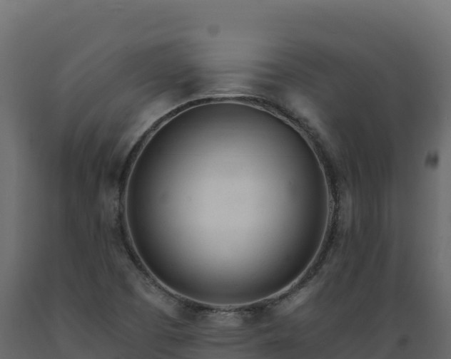 X0000089941457200707061050
