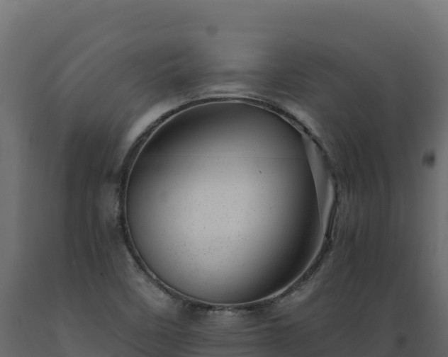 X0000089941458200707061050